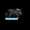 PANDIALY PANTHER