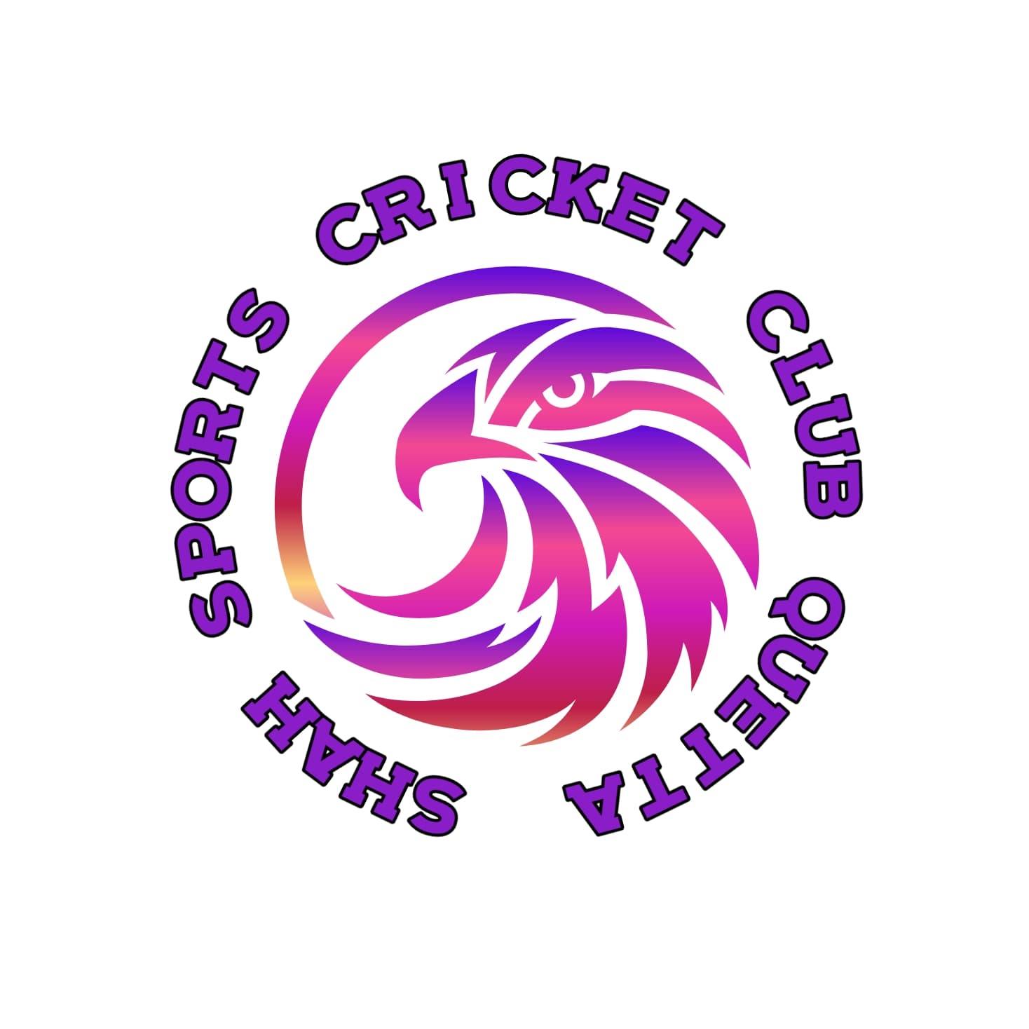 SHAH SPORTS team logo