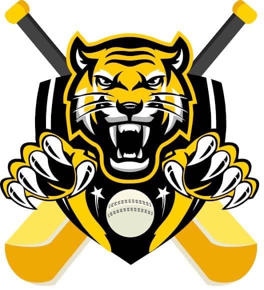 MANI team logo