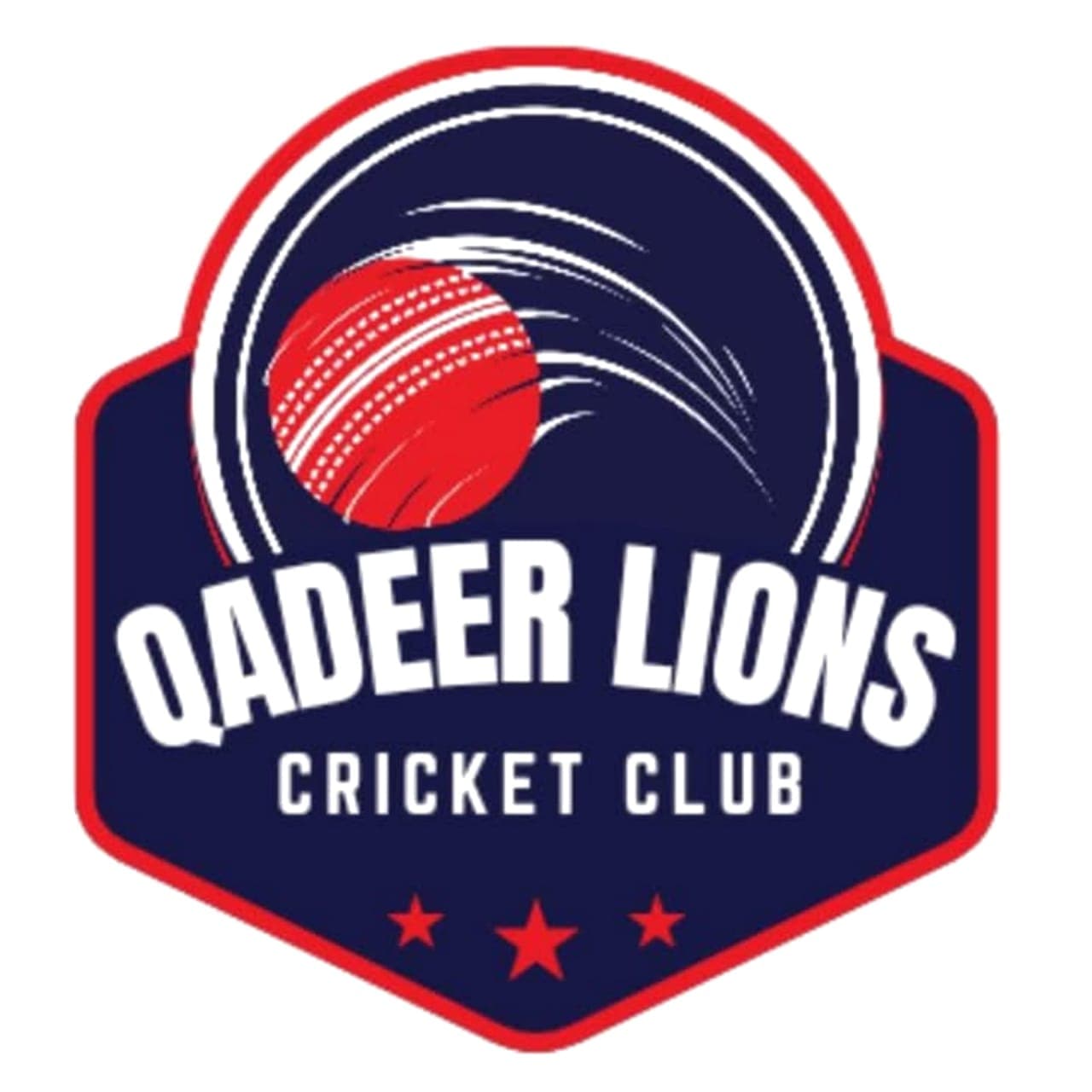 Qadeer Lions team logo
