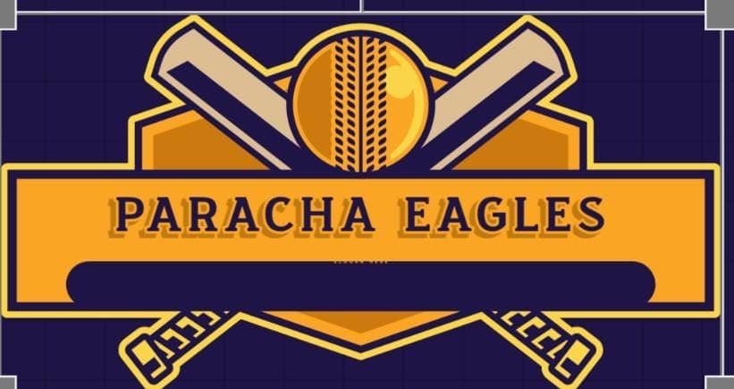 Paracha Eagles team logo