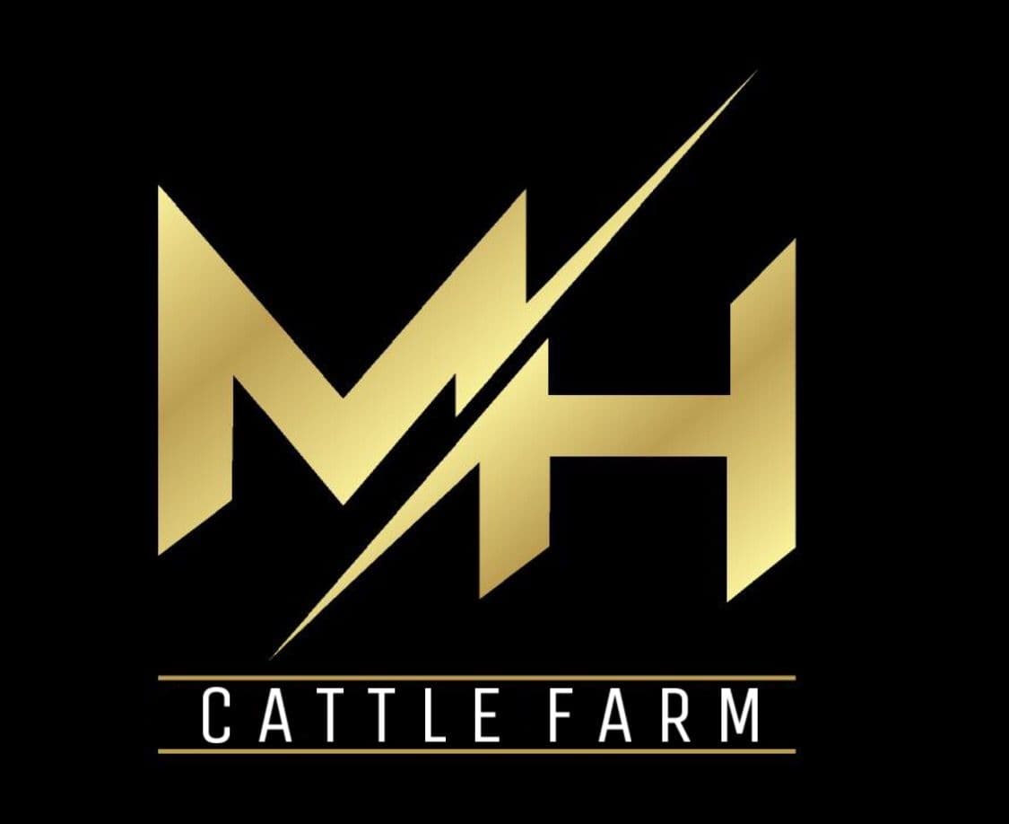 M.H Cattle Farm team logo