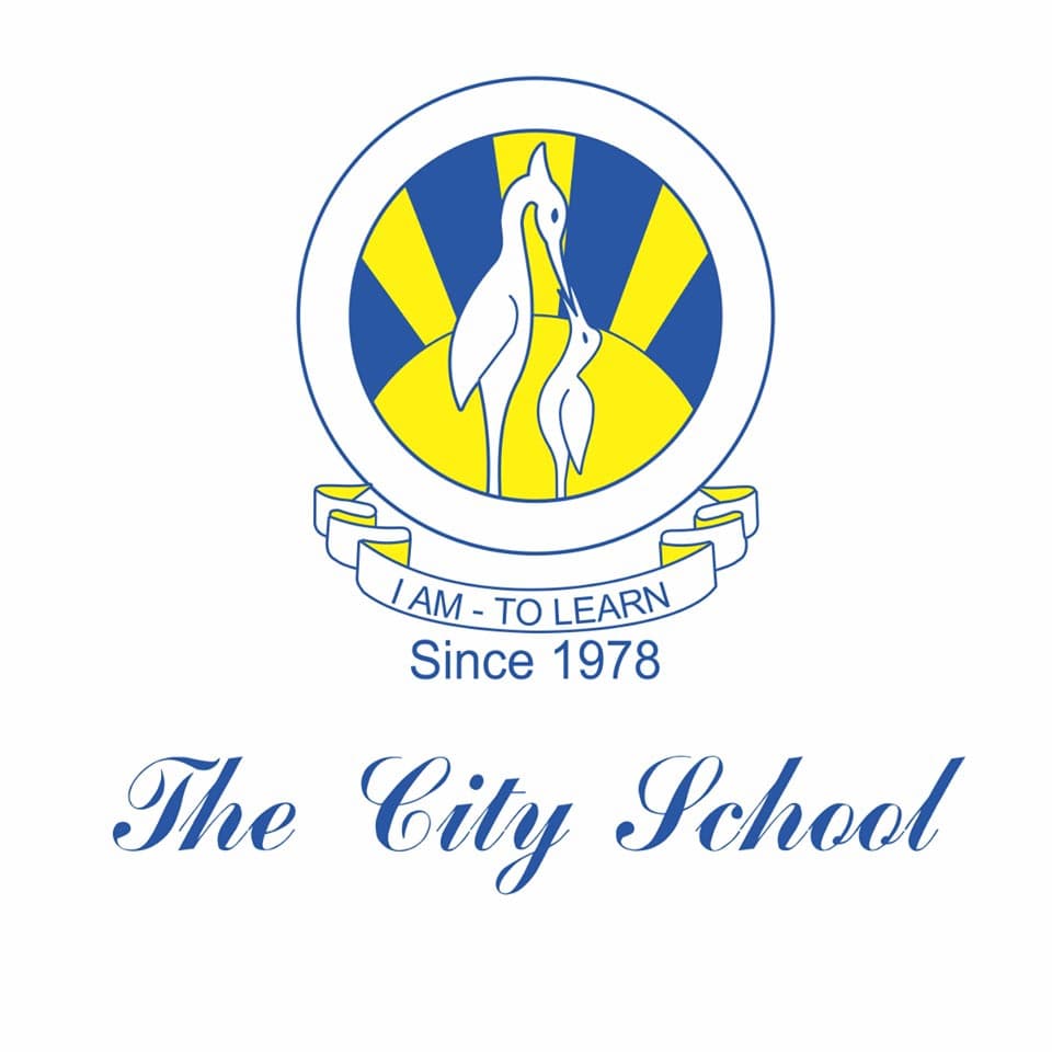 City School Darakshan Campus team logo