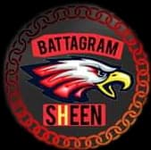 Battagram Shaheen team logo