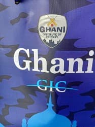 GIC D