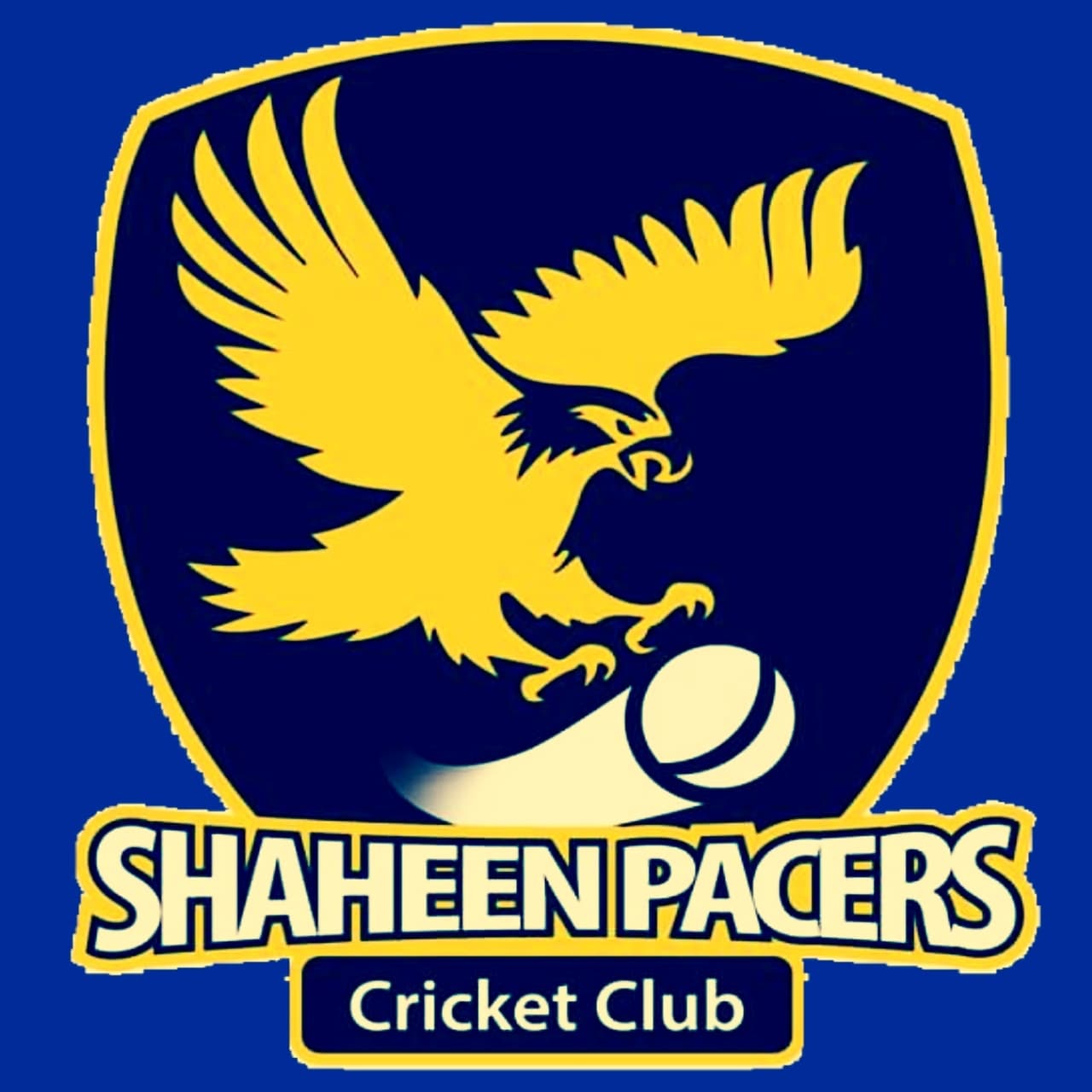 SHAHEEN PACERS CC team logo