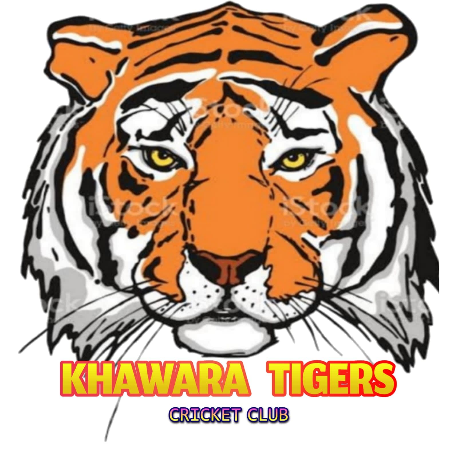 Khawra Tigers team logo
