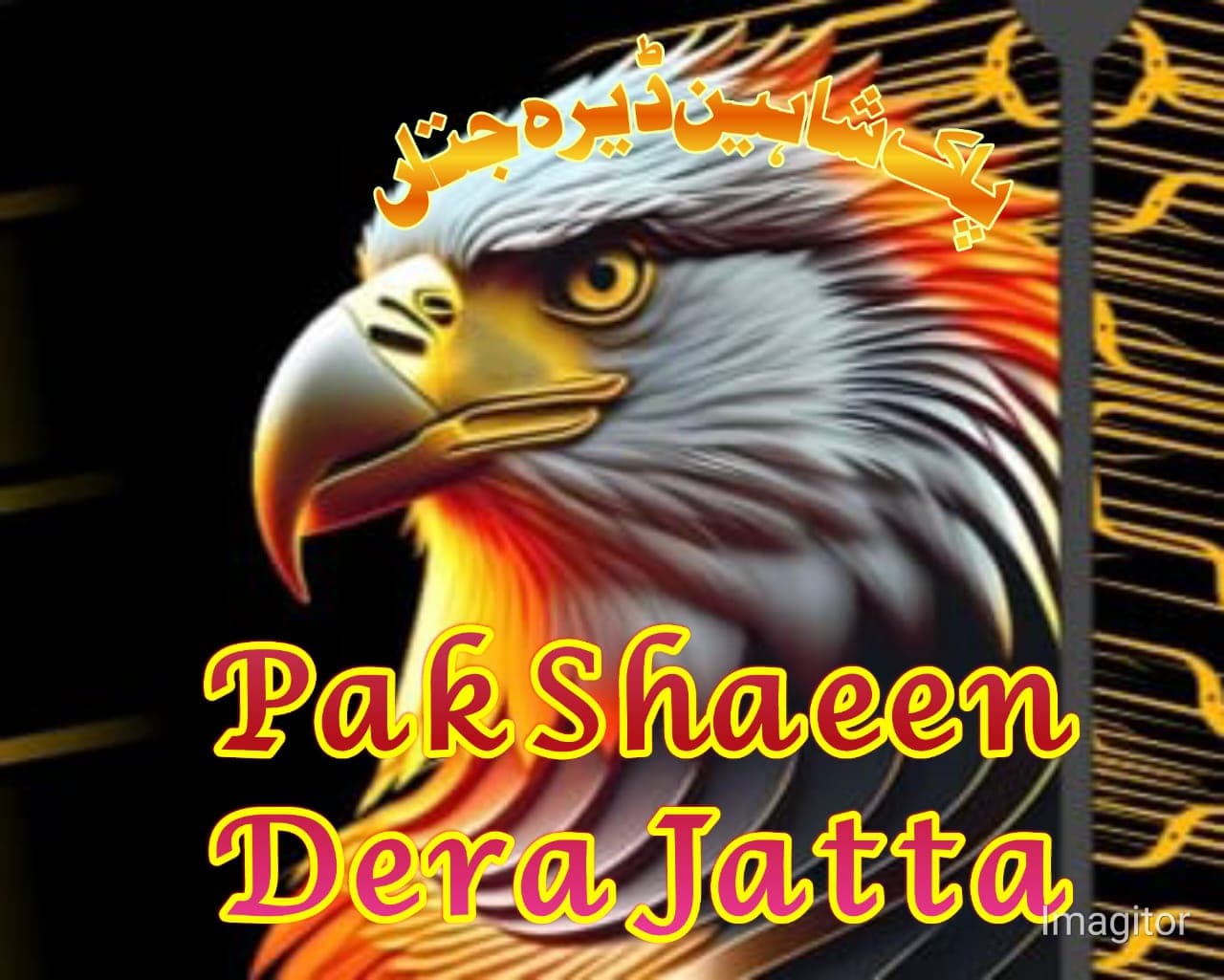 PAK SHAHEEN CC