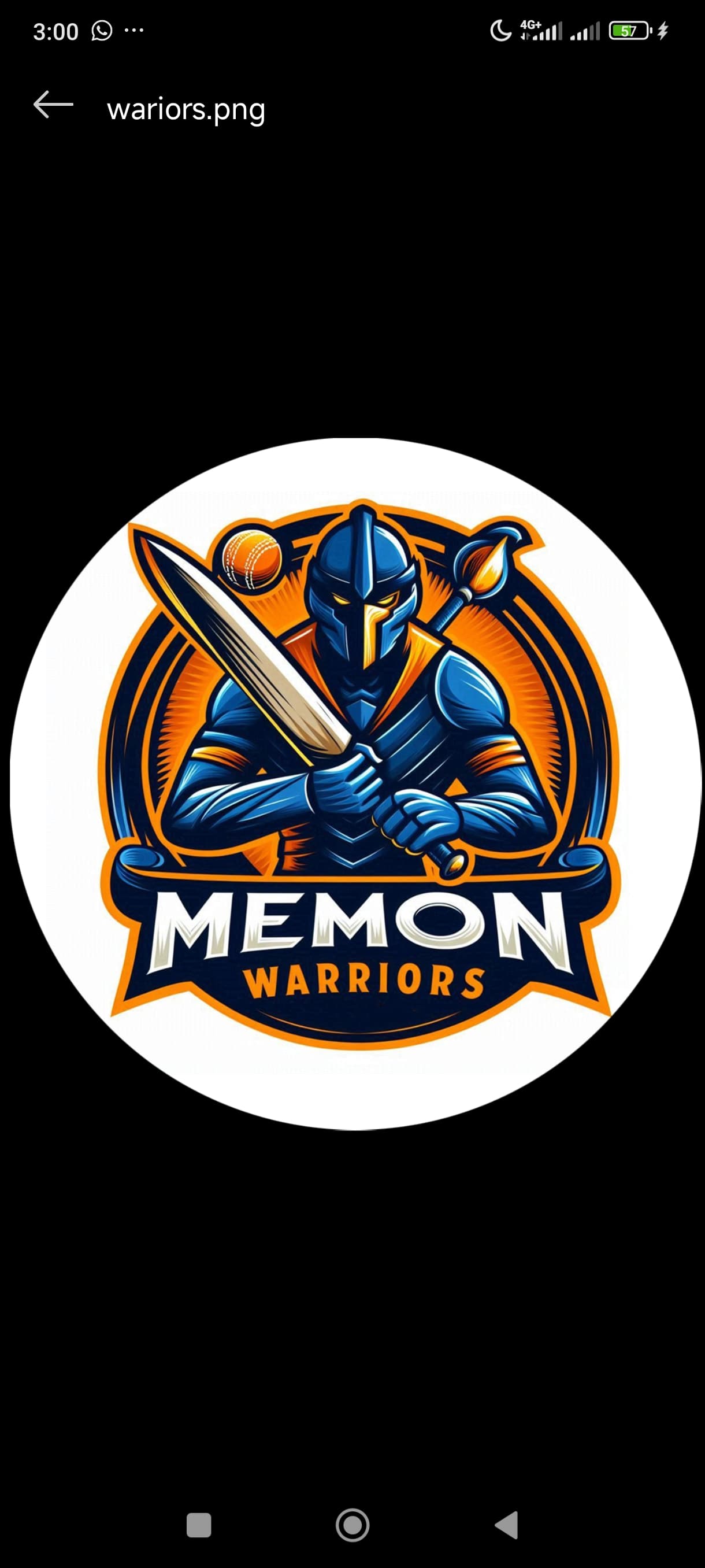 Memon Warriors team logo