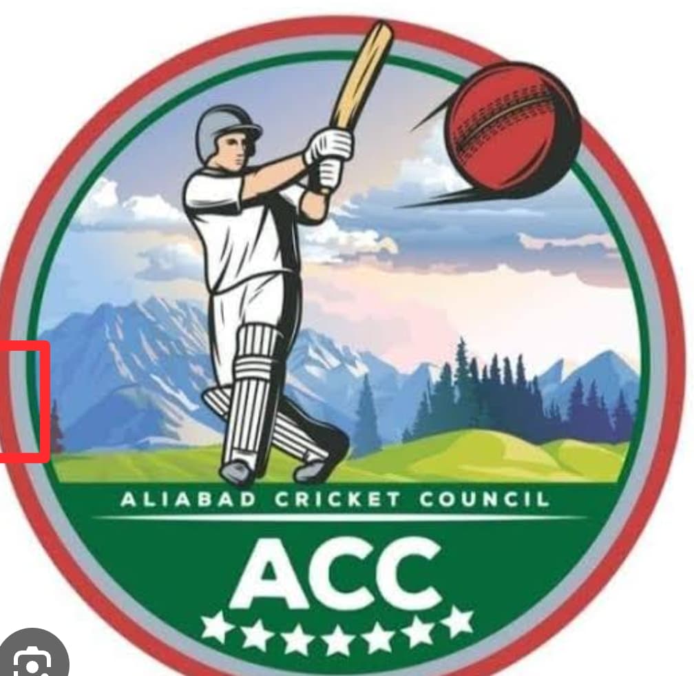 Ali Abad Jamali Cricket Club team logo