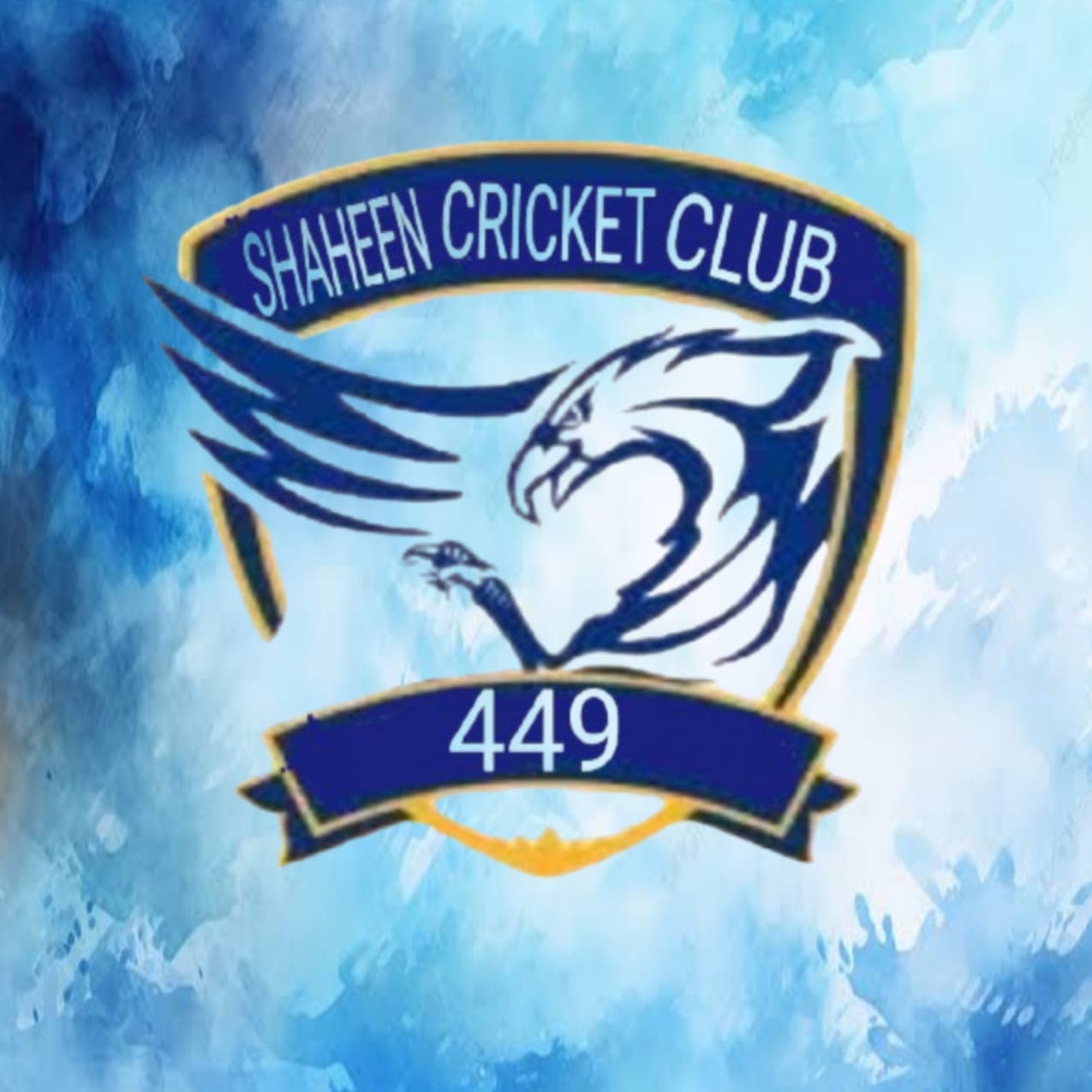 SHAHEEN CC 449