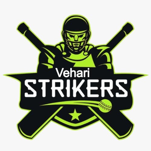 Vehari Strikers team logo