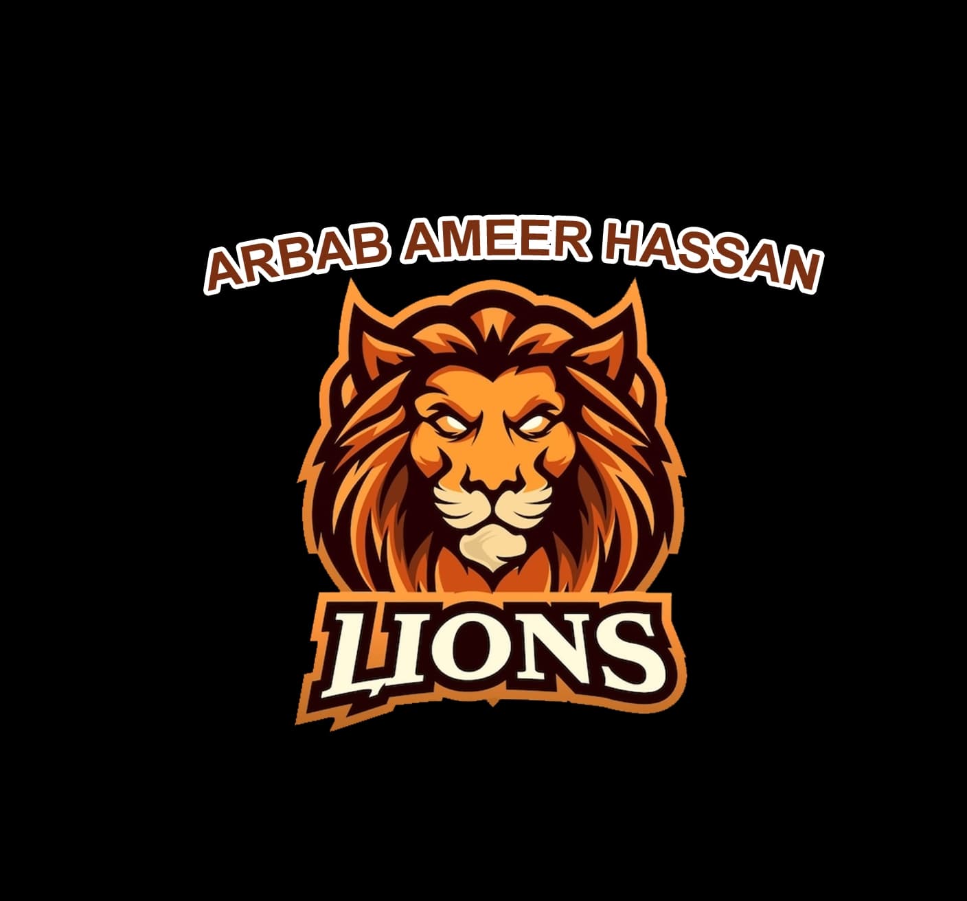 Ameer Hassan Lions team logo