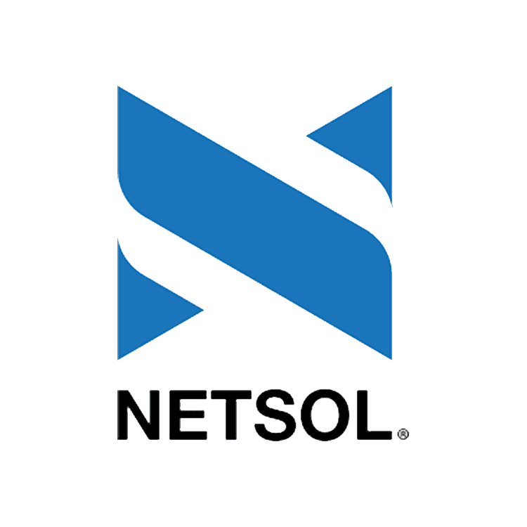 Netsol team logo