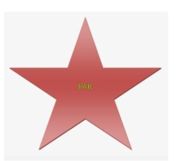 PAK CRICKET CLUB team logo
