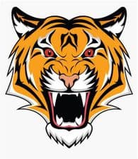 Faisalabad Tiger team logo
