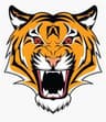 Faisalabad Tiger