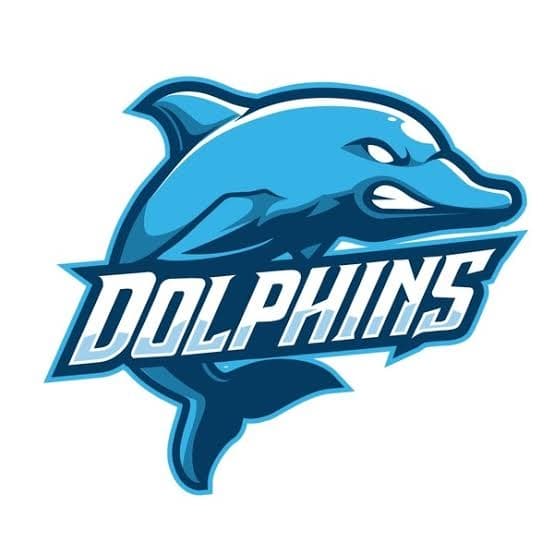 Corporate,SME Commercial & Invest Banking Group(Dolphins)
