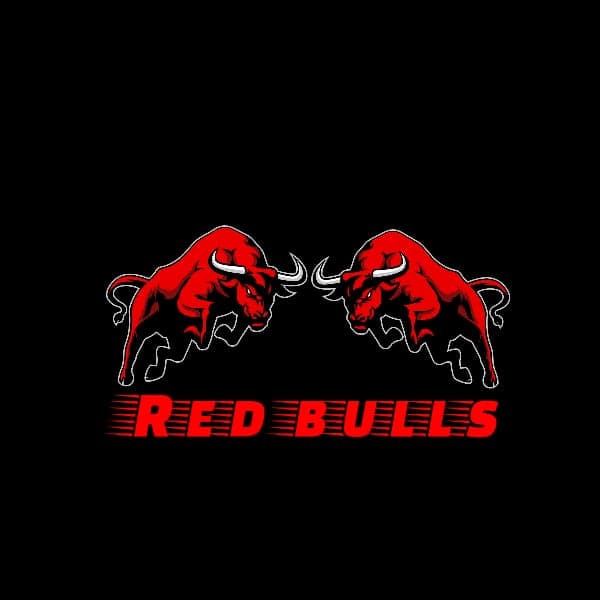 RED BULLS X11