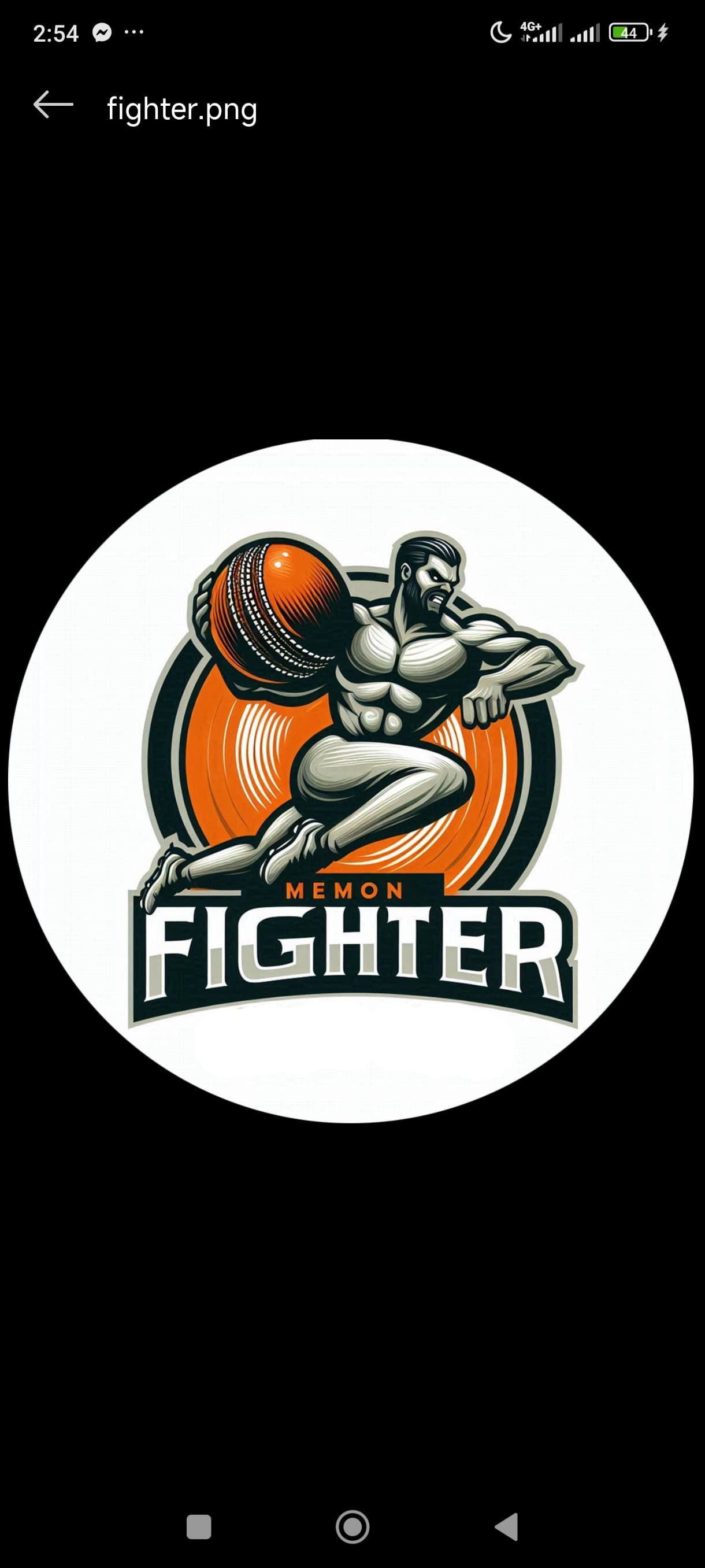 Memon Fighter team logo