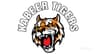 Kabeer tigers