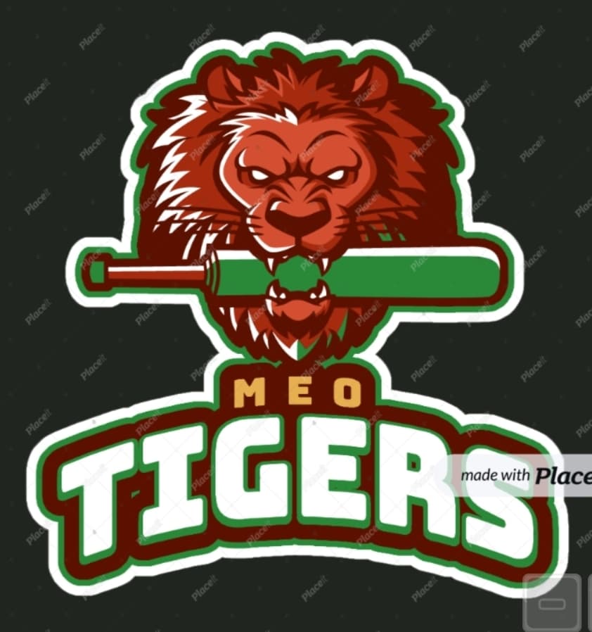 MEO BADSHAH team logo