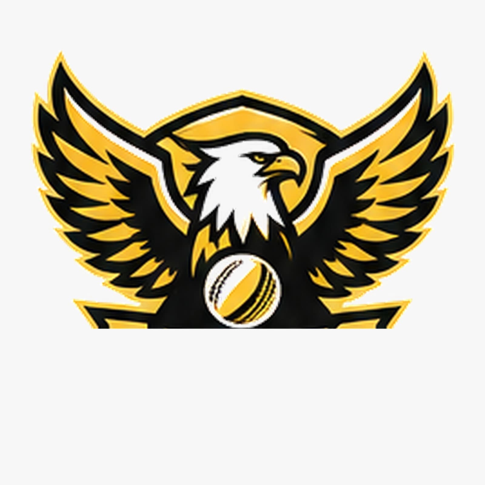 Tayyab team logo