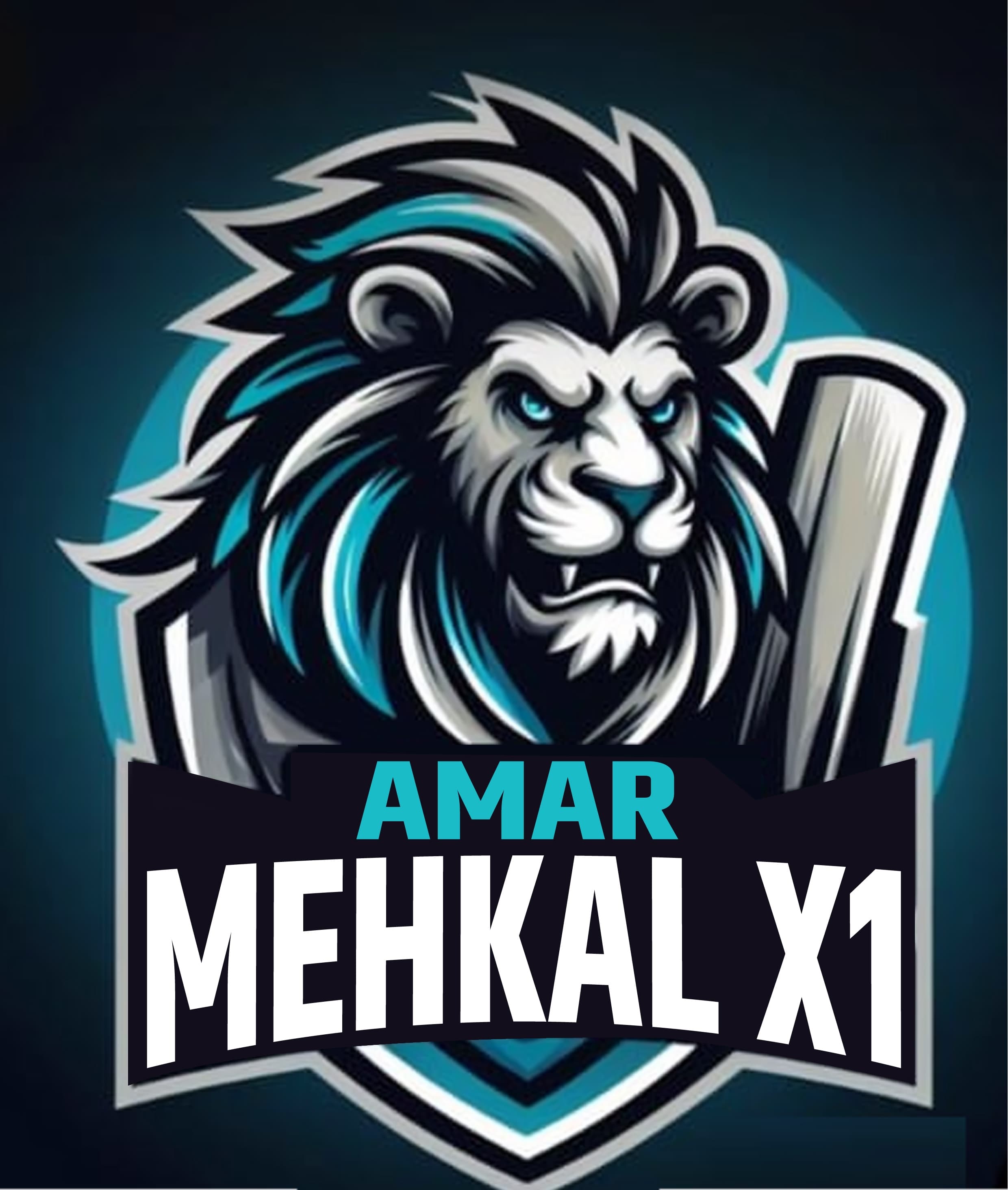 Krishna Narwani team logo