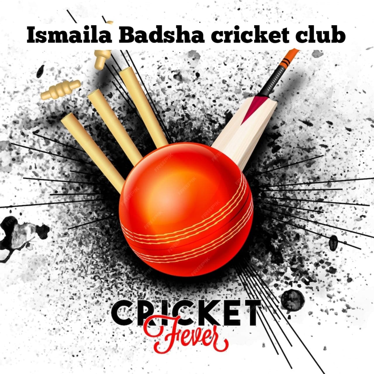 Ismaila Badshah team logo