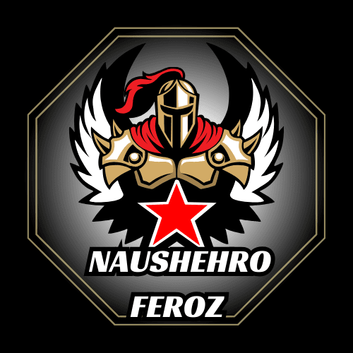 Naushehro Feroz team logo