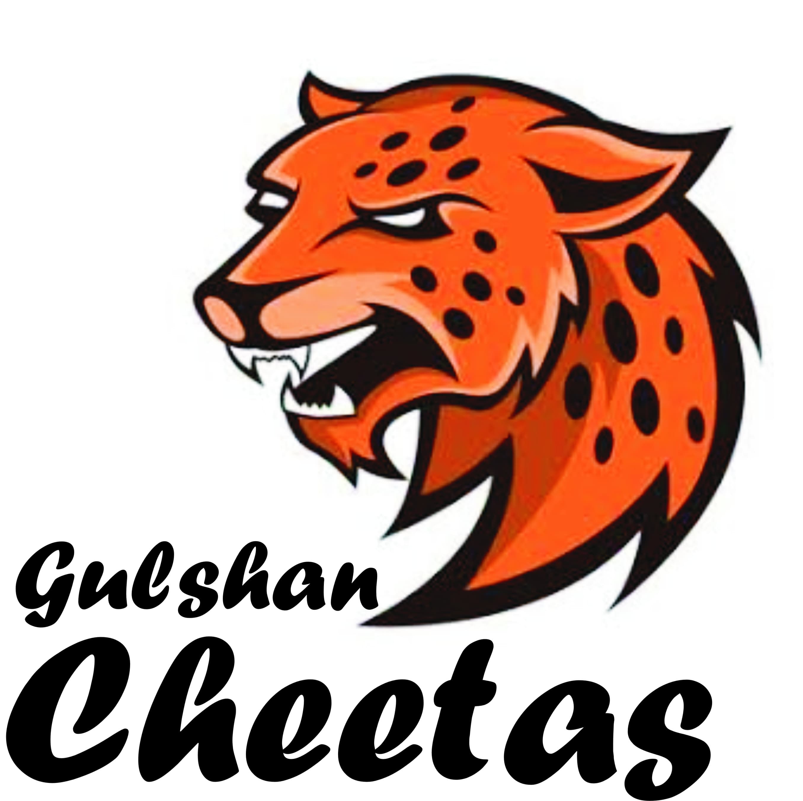 Gulshan Cheetas team logo