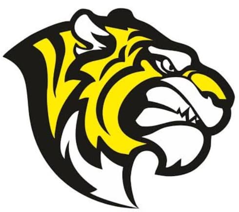 Shah Faisal Riders team logo