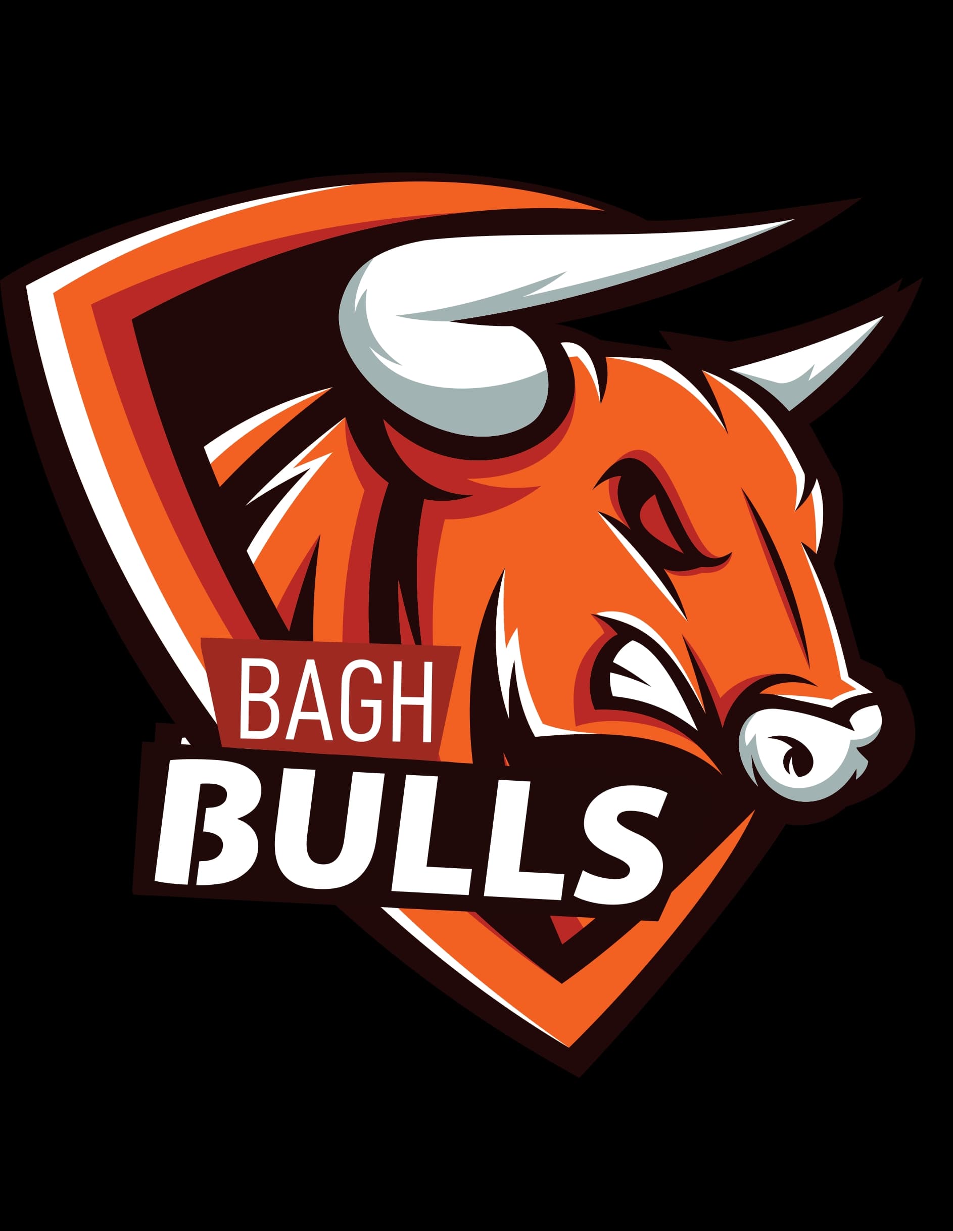 Bagh Bulls