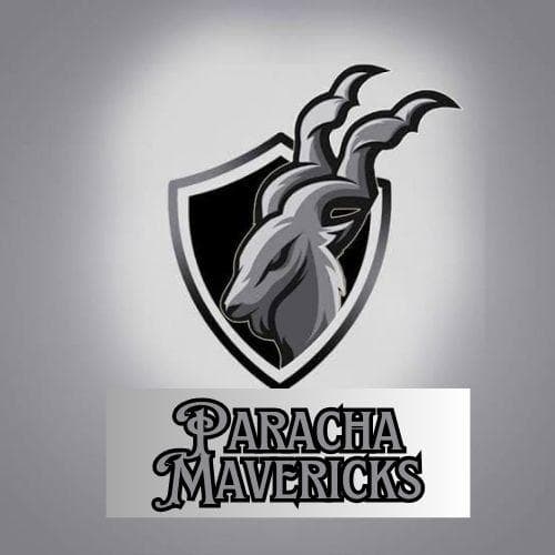 Paracha Mavericks team logo
