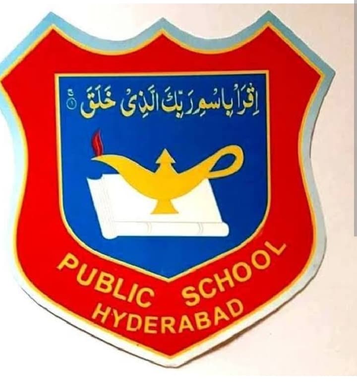 Public School team logo