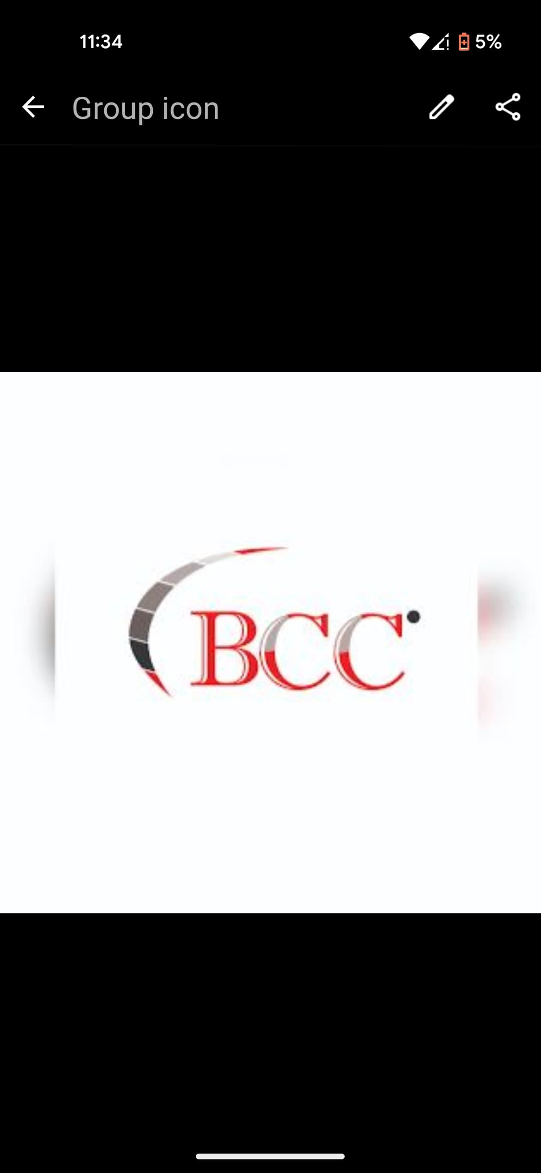 Bahria Cricket Club team logo