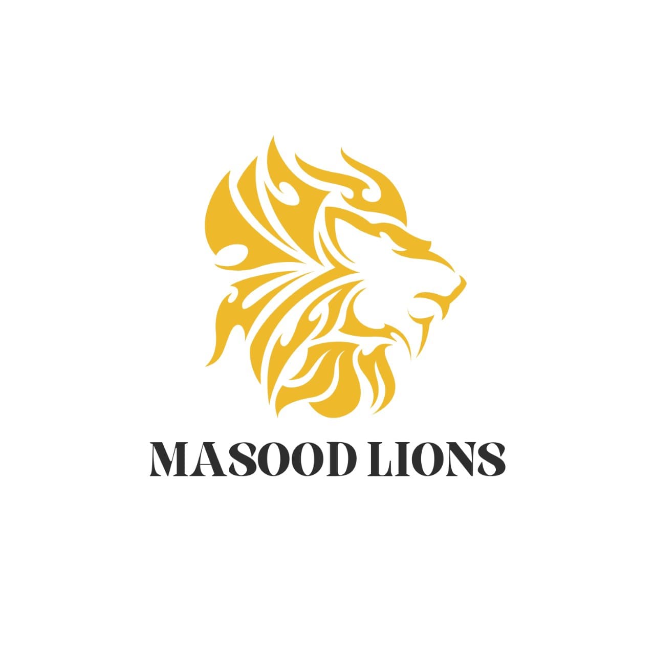 MASOOD LIONS team logo