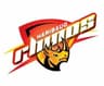 Haribaug Rhinos