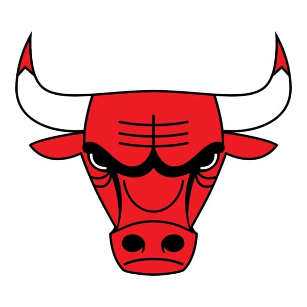 Bulls team logo