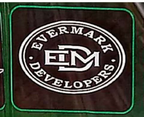 DREAM ELEVEN team logo