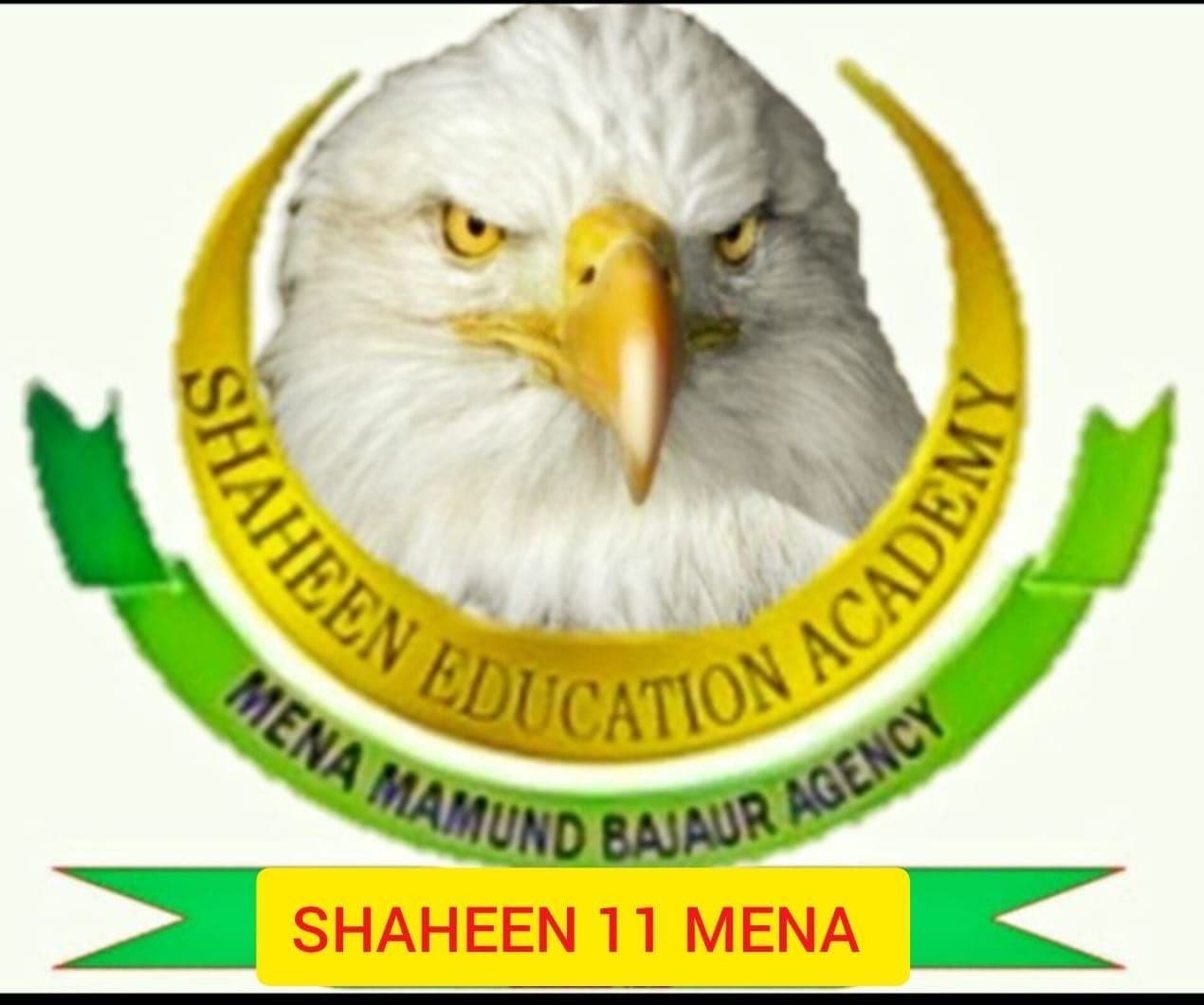 Shaheen