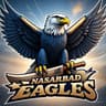 Nasarabad Eagles