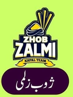 Zhob Zalmi team logo