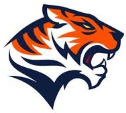 Orangi Fighters team logo