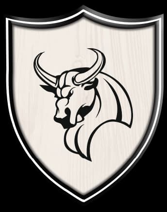 North Karachi Bulls