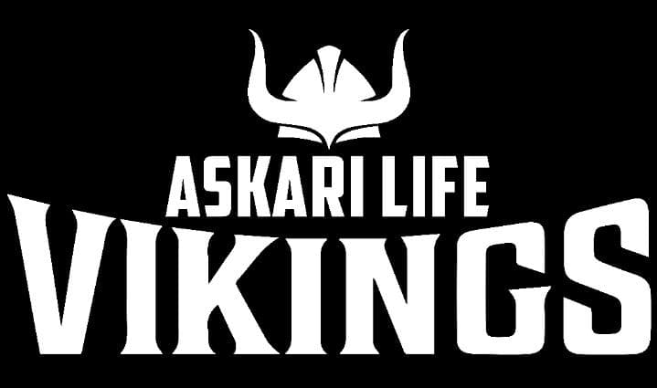 Vikings team logo