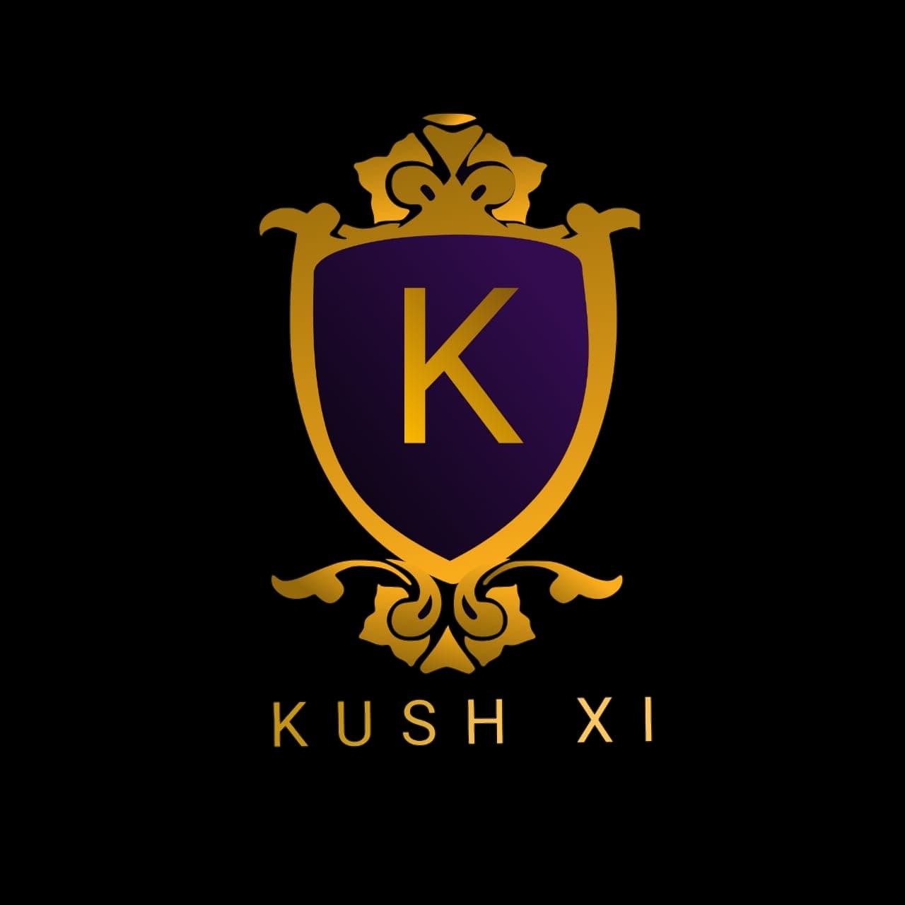 Patel Rupesh team logo