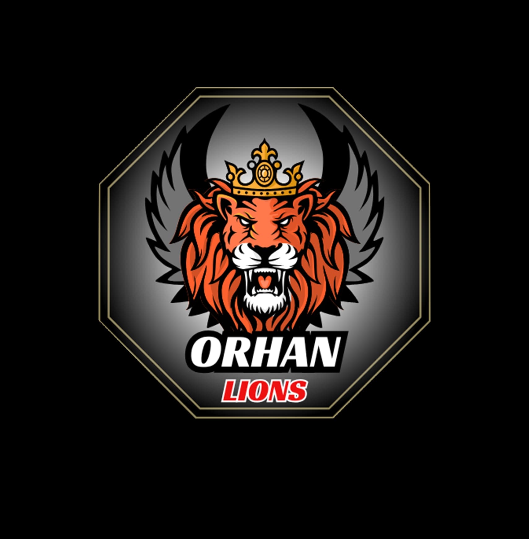 Orhan Loins