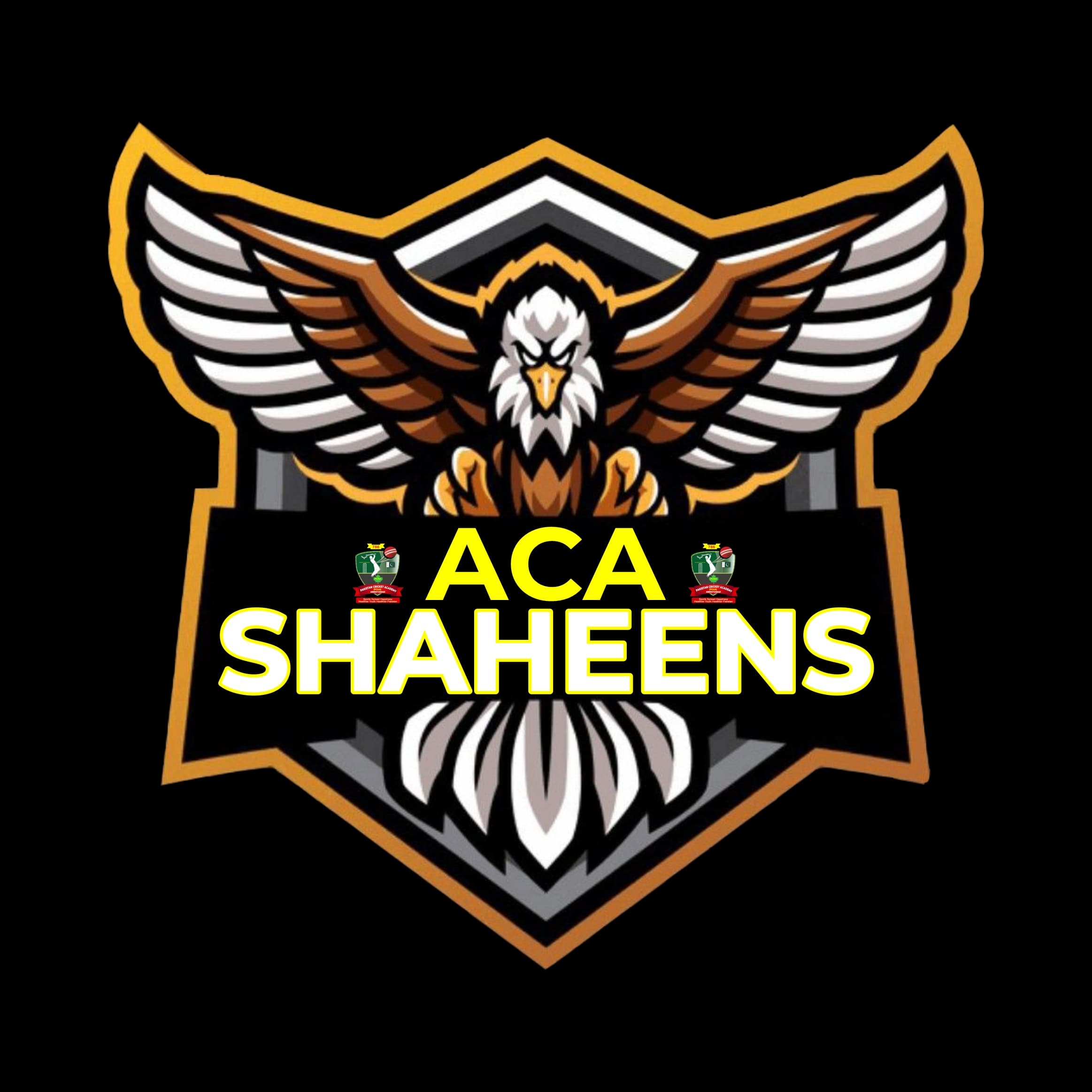 ACA SHAHEENS