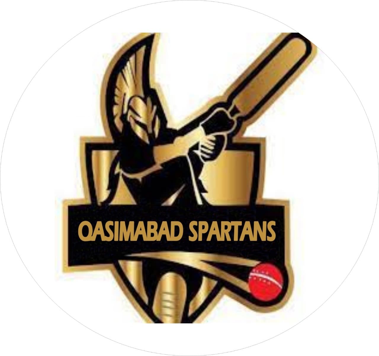 Qasimabad Spartan,s team logo